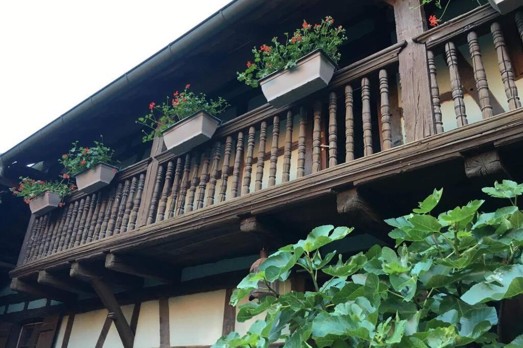 Gite Alsacien Eckwersheim Exterior foto